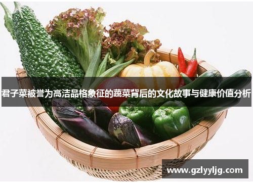 君子菜被誉为高洁品格象征的蔬菜背后的文化故事与健康价值分析