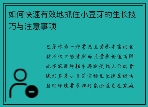 如何快速有效地抓住小豆芽的生长技巧与注意事项